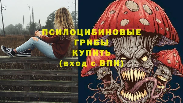 твердый Гусиноозёрск