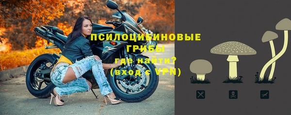 твердый Гусиноозёрск
