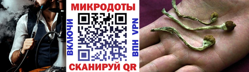 Купить где  Пыть-Ях  Галлюциногенные грибы Psilocybine cubensis 